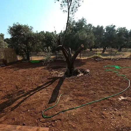 Norden Tiny House בית נופש